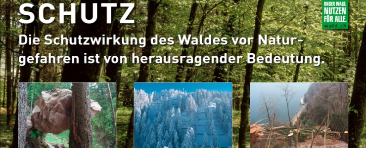 kampagne-schutz.jpg